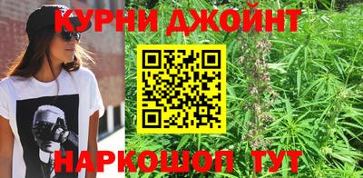 мет Моздок