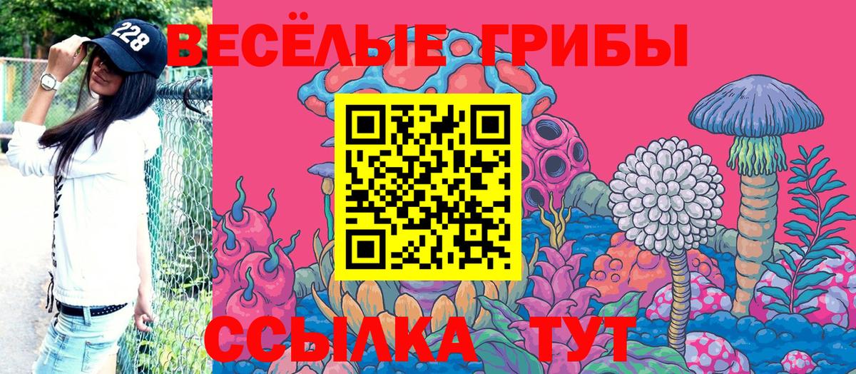 Псилоцибиновые грибы Psilocybe Усинск