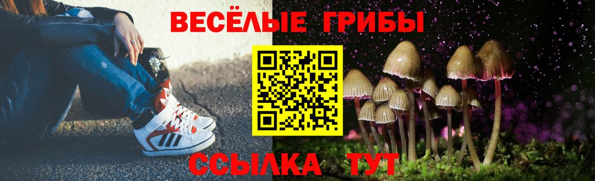 Псилоцибиновые грибы Cubensis  Вход с VPN  Усинск 